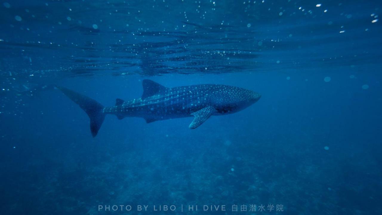 Ithaa Dhigurah Maldives Dhigurah (Alif Dhaal Atoll) Esterno foto