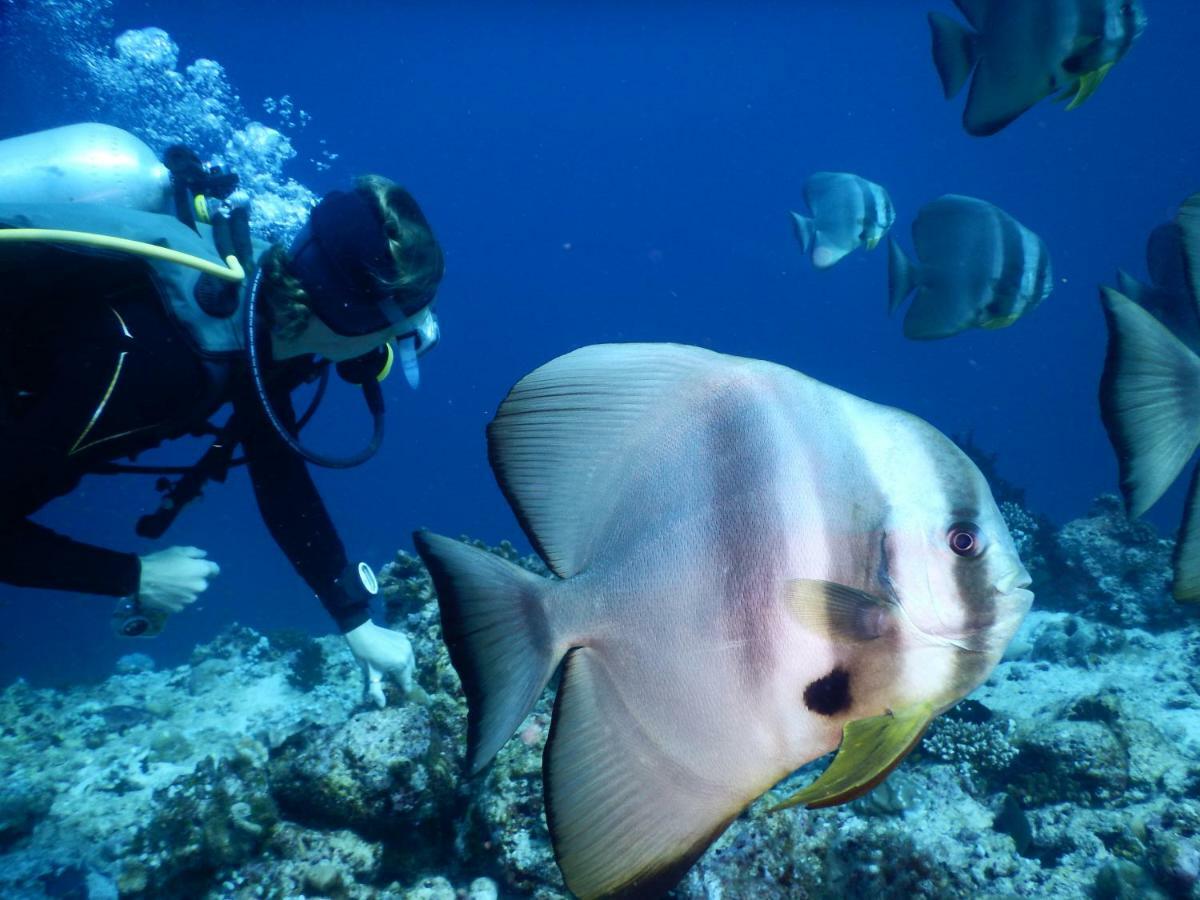 Ithaa Dhigurah Maldives Dhigurah (Alif Dhaal Atoll) Esterno foto