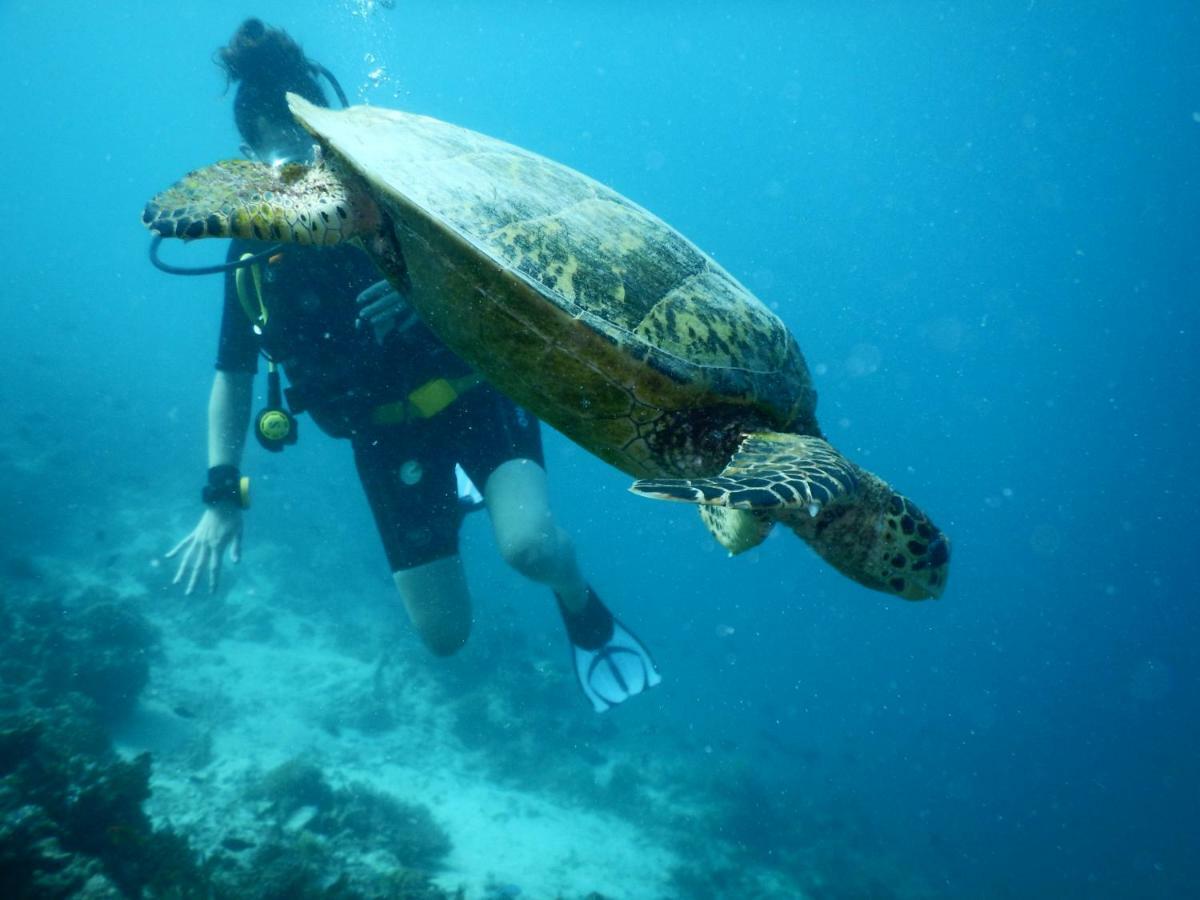 Ithaa Dhigurah Maldives Dhigurah (Alif Dhaal Atoll) Esterno foto